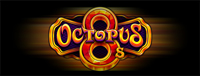 Come play an exciting gaming machine like Octopus 8's at Tulalip Bingo & Slots north of Seattle. 