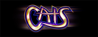 Come play an exciting gaming machine like Cats at Tulalip Bingo & Slots north of Seattle. 
