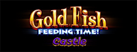 Come play an exciting gaming machine like Goldfish Feeding Time! Castle at Tulalip Bingo & Slots north of Seattle. 