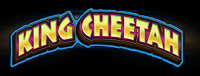 Play slots at Tulalip Resort Casino north of Bellevue and Seattle on I-5 like the super exciting King Cheetah machine!