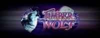 Come play an exciting gaming machine like Timber Wolf at Tulalip Bingo & Slots north of Seattle.