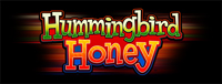 Come play an exciting gaming machine like Hummingbird Honey at Tulalip Bingo & Slots north of Seattle. 