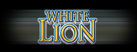 Play the White Lion slot machines at Tulalip Resort Casino—exit 200 on I-5 near Marysville, Washington