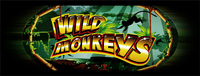 Play slots at Tulalip Resort Casino south of North Vancouver, BC near Seattle on I-5 like the exciting Wild Monkeys video gaming machine!