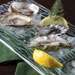 Enjoy some delicious oysters at Blackfish Wild Salmon Grill and Bar inside the fabulous Tulalip Resort Casino near Marysville on I-5!