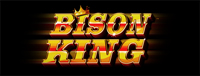 Play slots at Tulalip Resort Casino like the exciting Bison King video gaming machine!