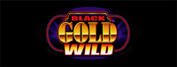 Play slots at Tulalip Resort Casino north of Everett near Marysville on I-5 like the exciting Quick Hit Reel Boost – Black Gold Wild video gaming machine!