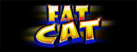 Play slots at Tulalip Resort Casino like the exciting Fat Fortunes – Fat Cat video gaming machine!