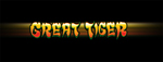 Tulalip Resort Casino wants you to enjoy playing the Great Tiger Gold slot machine!