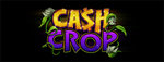 Play slots at Tulalip Resort Casino like the exciting Lock It Link Riches - Cash Crop video gaming machine!