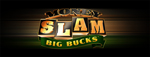 Tulalip Resort Casino has the exciting Money Slam - Big Bucks video gaming slot machine!