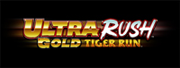 Play slots at Tulalip Resort Casino like the exciting Ultra Rush - Tiger Run video gaming machine!