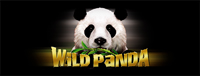 Play slots at Tulalip Resort Casino like the exciting Wild Panda video gaming machine!