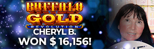 Cheryl B. won $16,156 playing Buffalo Gold - Revolution at Tulalip Resort Casino.
