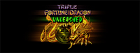 Play slots at Tulalip Resort Casino like the super exciting Triple Fortune Dragon - Unleashed - south of Vancouver, BC near Seattle on I-5!