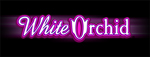 Play White Orchid slots at Tulalip Resort Casino in Marysville, WA